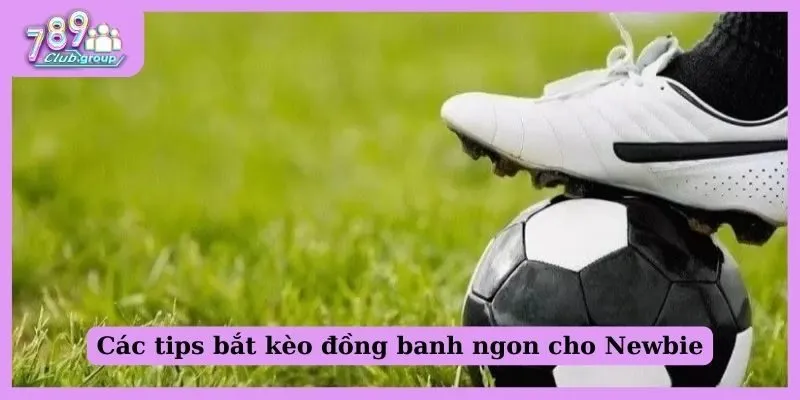 Các tips bắt kèo đồng banh ngon cho Newbie