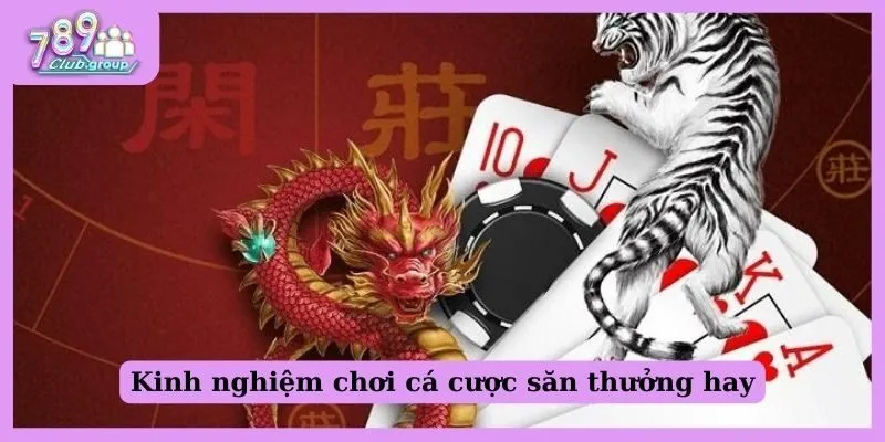 Kinh nghiệm chơi cá cược săn thưởng hay