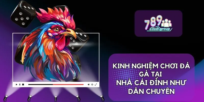 Kinh nghiệm chơi đá gà tại nhà cái đỉnh như dân chuyên