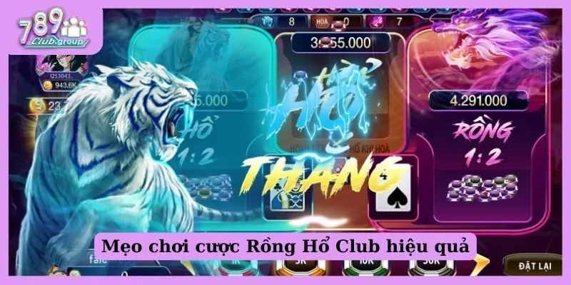 Mẹo chơi Rồng Hổ Club tại 789 Club nắm chắc chiến thắng