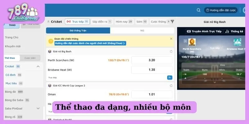 Thể thao đa dạng, nhiều bộ môn 