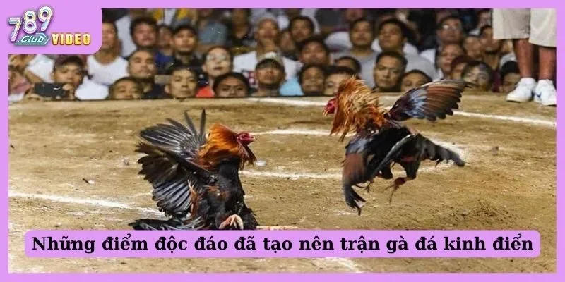 Những điểm độc đáo đã tạo nên trận gà đá kinh điển