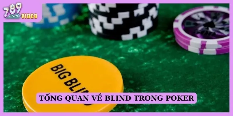 Tổng quan về Blink trong poker