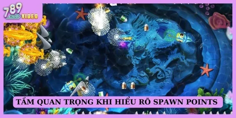 Tầm quan trọng khi hiểu rõ spawn points